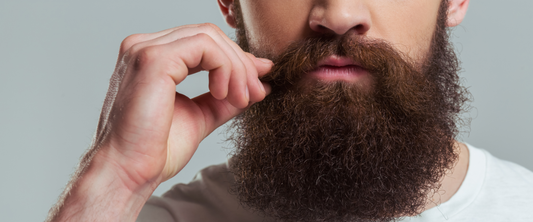 Guía Definitiva para Comprar Productos para el Cuidado de la Barba