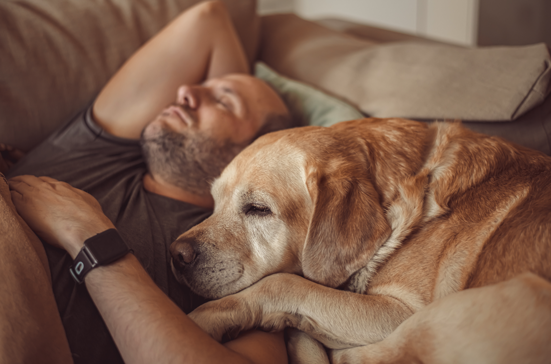 La Importancia del Sueño para el Aspecto Personal de los Hombres